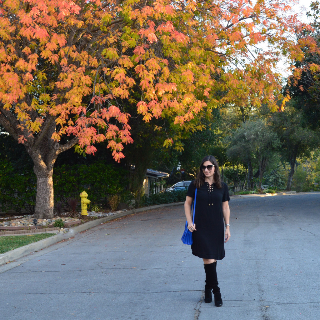 fall outfit al black with a pop of blue