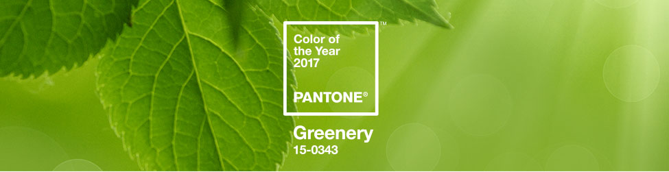 Pantone color of the year 2017 greenery