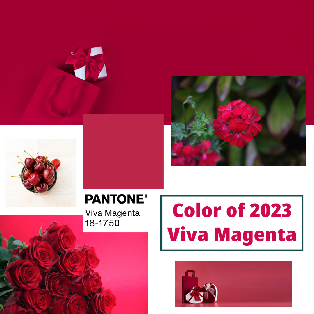 Color of the year 2023 Viva Magenta – Bay Area Fashionista